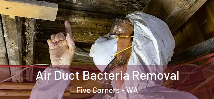  Air Duct Bacteria Removal Five Corners - WA
