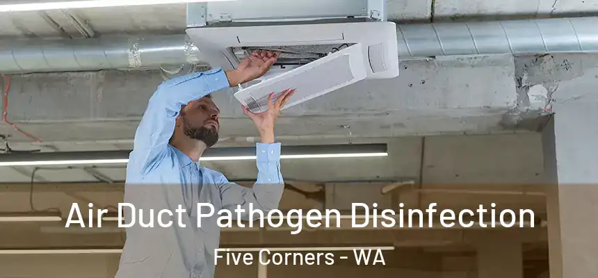  Air Duct Pathogen Disinfection Five Corners - WA