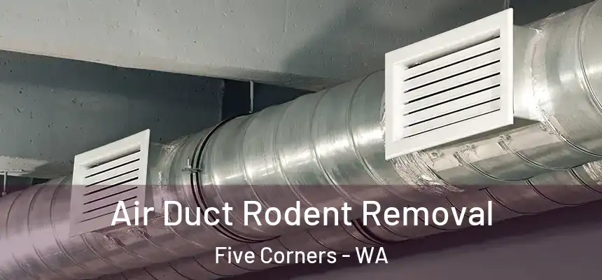  Air Duct Rodent Removal Five Corners - WA
