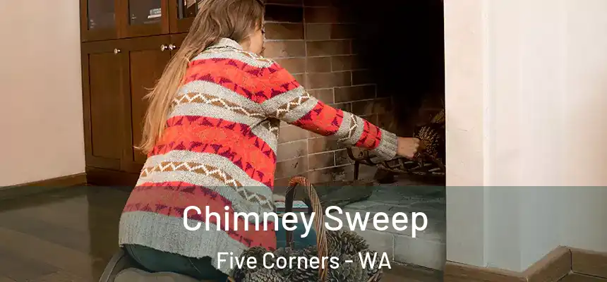  Chimney Sweep Five Corners - WA