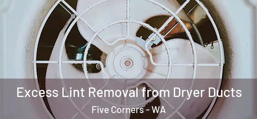  Excess Lint Removal from Dryer Ducts Five Corners - WA