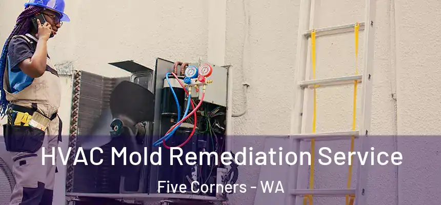  HVAC Mold Remediation Service Five Corners - WA