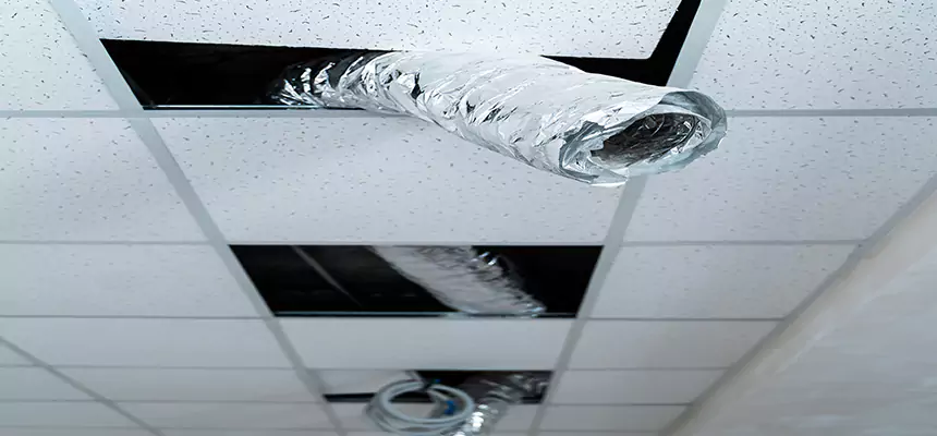 Affordable HVAC Sanitizing After Pest Removal in Five Corners