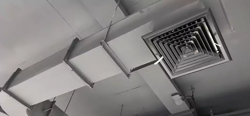 Restorative Allergy Relief Vent Cleaning – Coil, Blower & Housing Detail in Five Corners