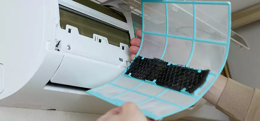 Gentle Ductwork Odor-Control Pet Dander Duct Cleaning in Five Corners, WA