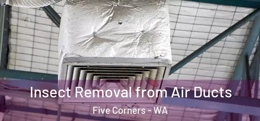  Insect Removal from Air Ducts Five Corners - WA