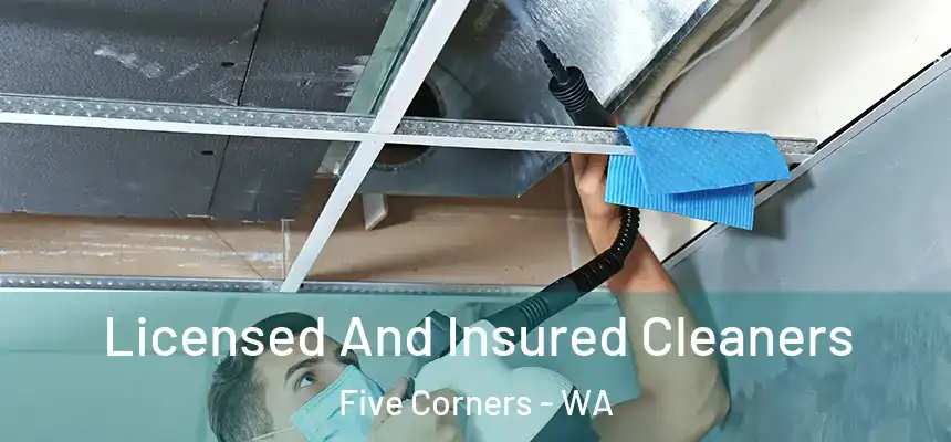 Licensed And Insured Cleaners Five Corners - WA
