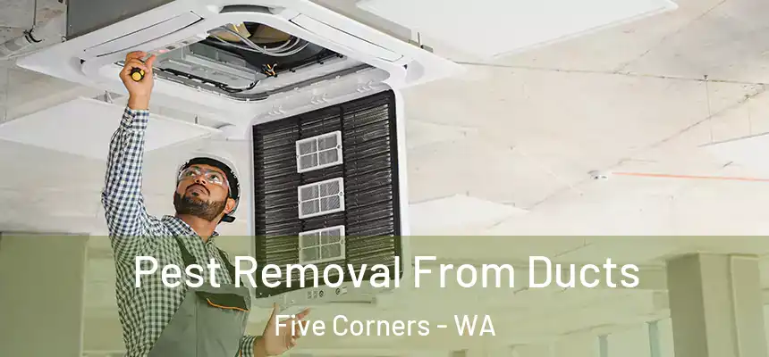  Pest Removal From Ducts Five Corners - WA