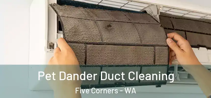 Pet Dander Duct Cleaning Five Corners - WA