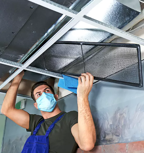 About Air Duct Bacteria Removal in Five Corners