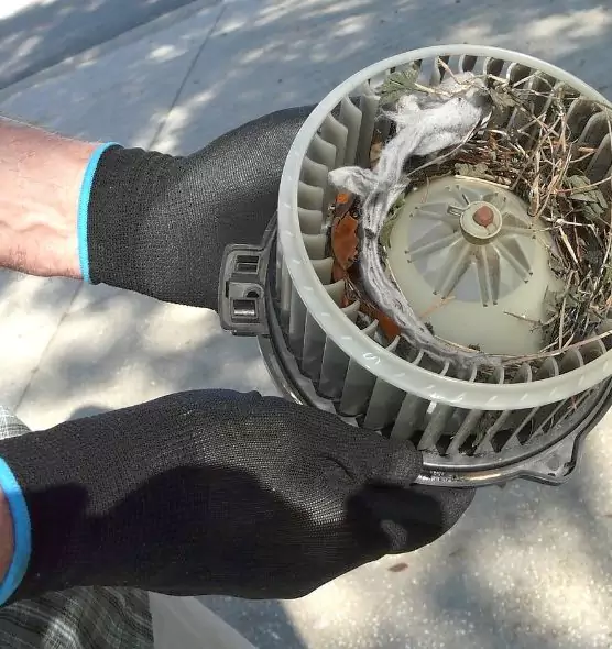 About Air Duct Mice Removal in Five Corners, WA