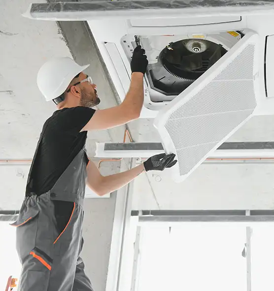 About Air Duct Rodent Removal in Five Corners, WA