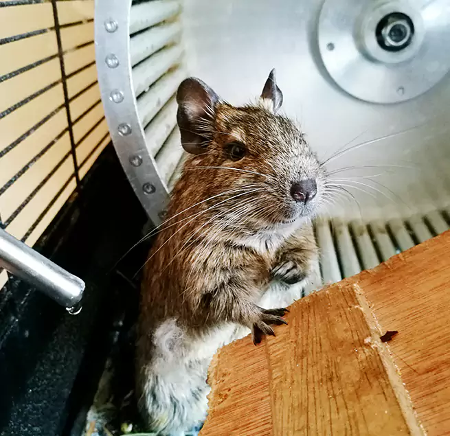 Why Homeowners & Businesses Trust Us Five Corners, WA