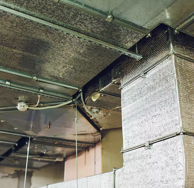 Why Homeowners & Businesses Trust Us in Five Corners, WA?